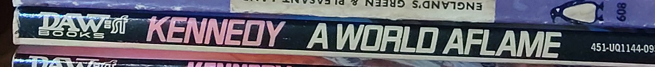 Gregory Kern  A WORLD AFLAME spine of book image