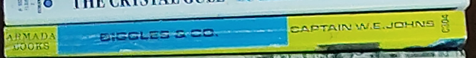 Captain W.E. Johns  BIGGLES & CO. spine of book image