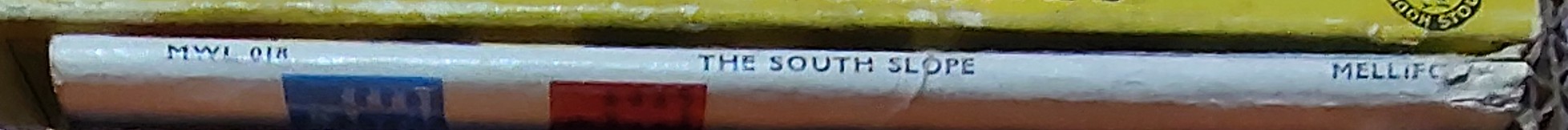 Frank Bosworth  THE SOUTH SLOPE spine of book image