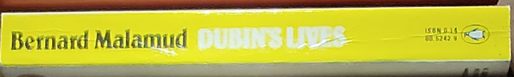 Bernard Malamud  DUBLIN'S LIVES spine of book image