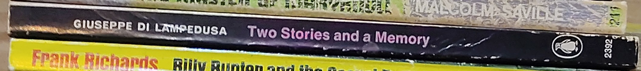 Giuseppe di Lampedusa  TWO STORIES & A MEMORY spine of book image