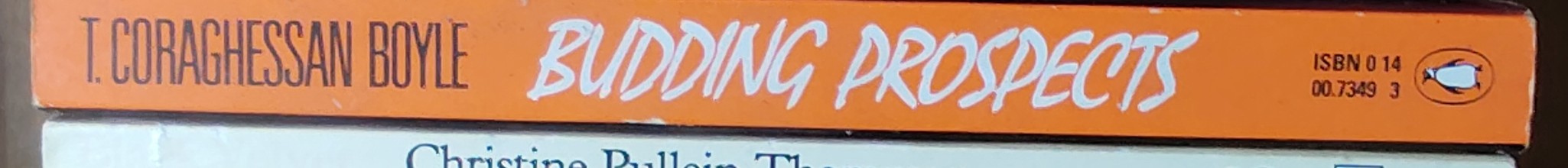 T.Coraghessan Boyle  BUDDING PROSPECTS spine of book image