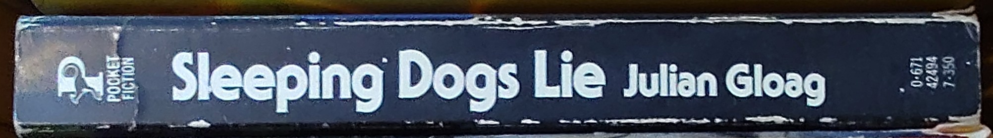 Julian Gloag  SLEEPING DOGS LIE spine of book image