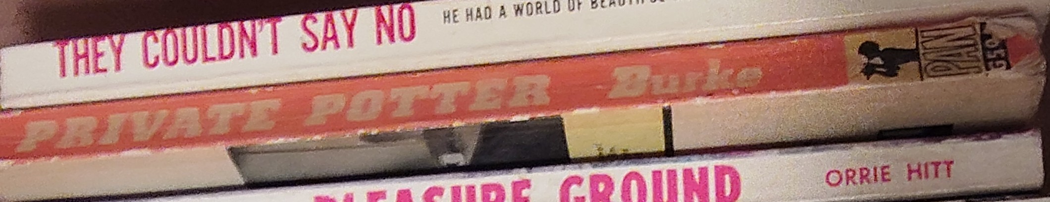 John Burke  PRIVATE POTTER (TV tie-in) spine of book image