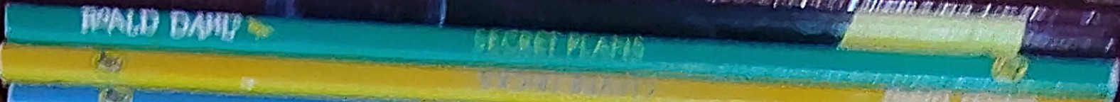 Roald Dahl  ROALD DAHL'S SECRET PLANS spine of book image