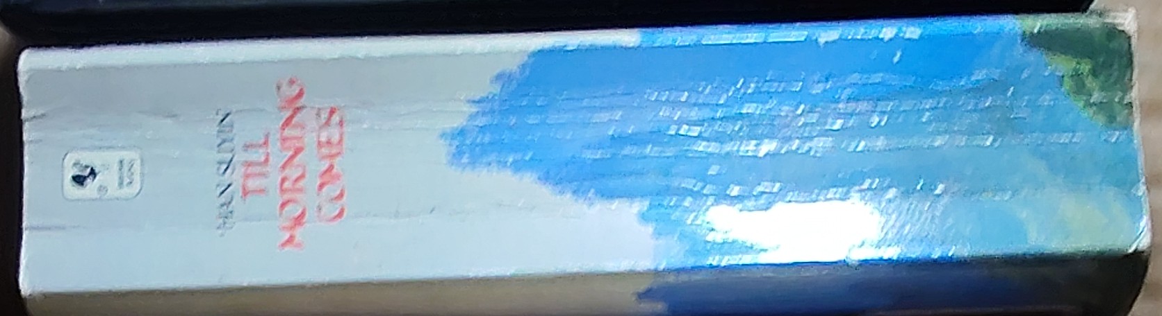 Han Suyin  TILL MORNING COMES spine of book image