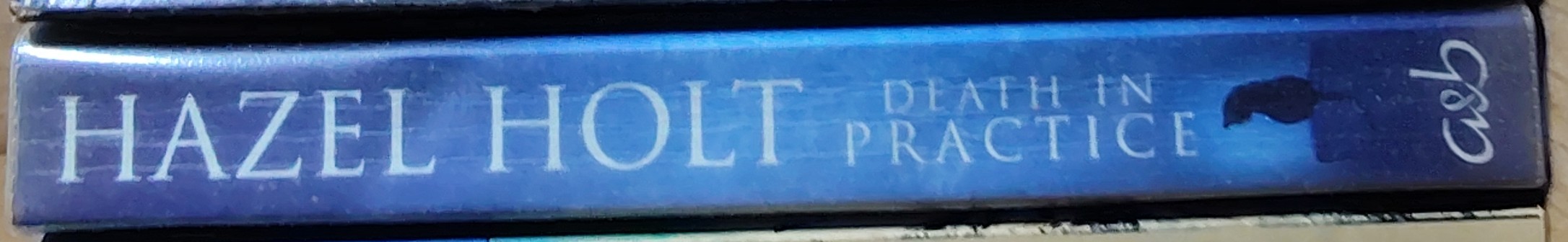 Hazel Holt  DEATH IN PRACTICE spine of book image