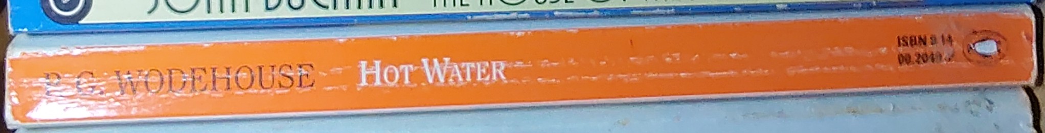 P.G. Wodehouse  HOT WATER spine of book image