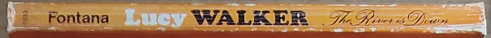 Lucy Walker  THE RIVER IS DOWN spine of book image