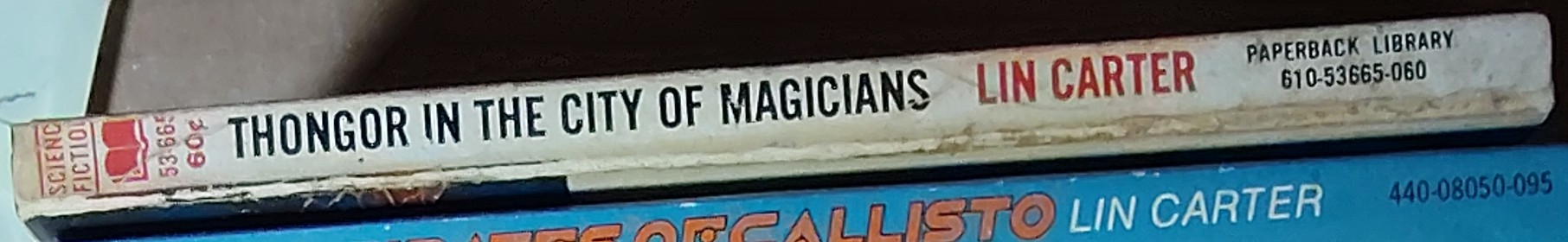 Lin Carter  THONGOR IN THE CITY OF MAGICIANS spine of book image