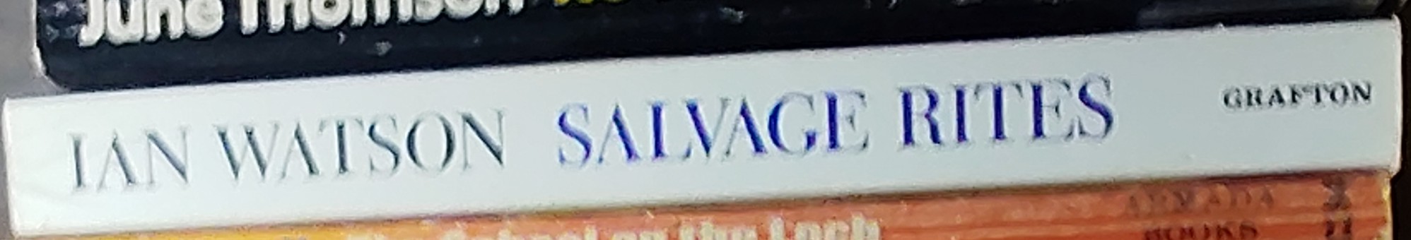 Ian Watson  SALVAGE RITES spine of book image
