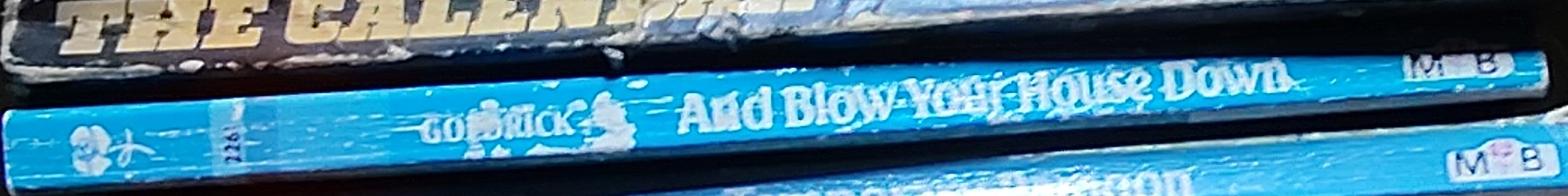 Emma Goldrick  AND BLOW YOUR HOUSE DOWN spine of book image