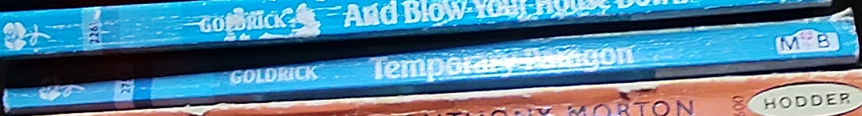 Emma Goldrick  TEMPORARY PARAGON spine of book image