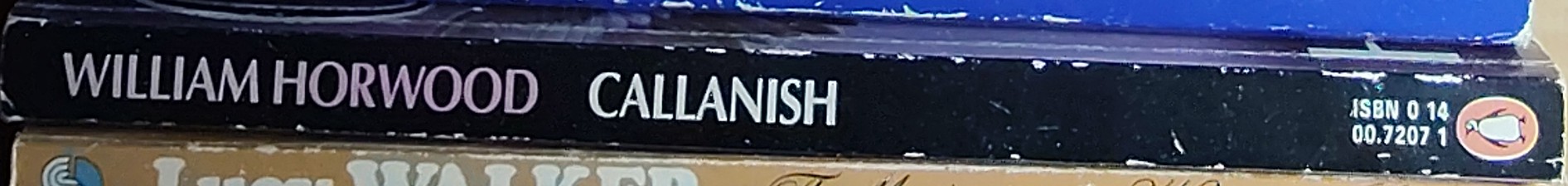 William Horwood  CALLANISH spine of book image