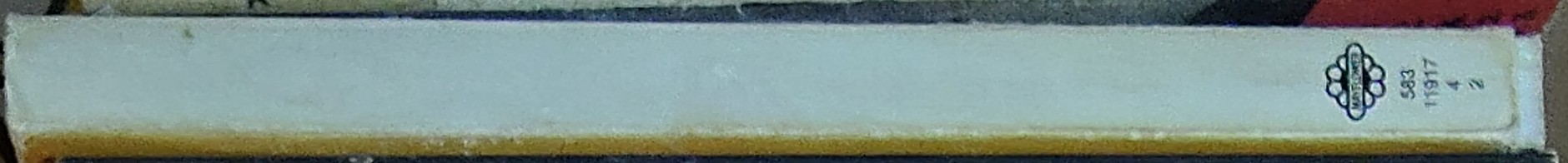 Michael Moorcock  THE TIME DWELLER spine of book image