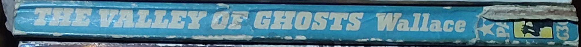 Edgar Wallace  THE VALLEY OF GHOSTS spine of book image