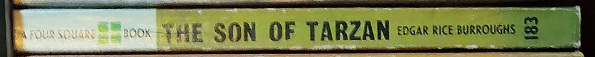 Edgar Rice Burroughs  THE SON OF TARZAN spine of book image