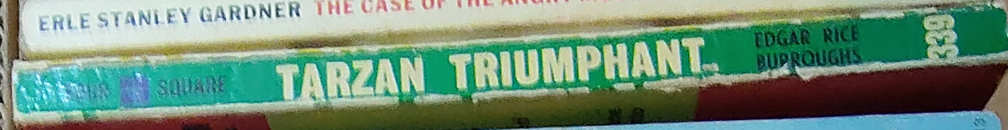 Edgar Rice Burroughs  TARZAN TRIUMPHANT spine of book image