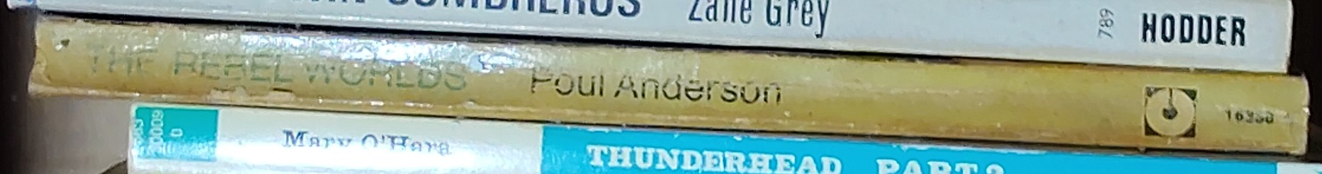 Poul Anderson  THE REBEL WORLDS spine of book image