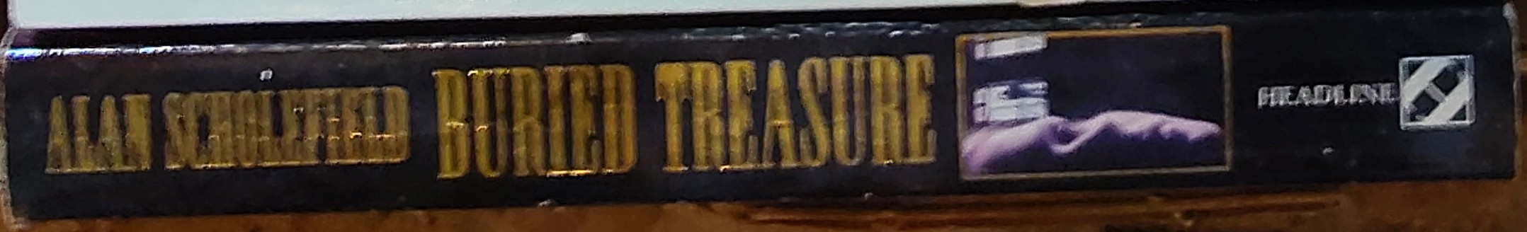 Alan Scholefield  BURIED TREASURE spine of book image