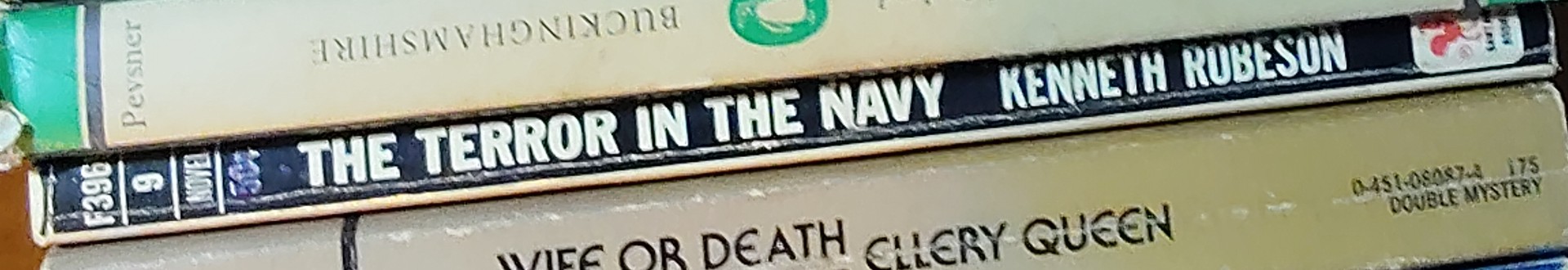 Kenneth Robeson  DOC SAVAGE: THE TERROR IN THE NAVY spine of book image
