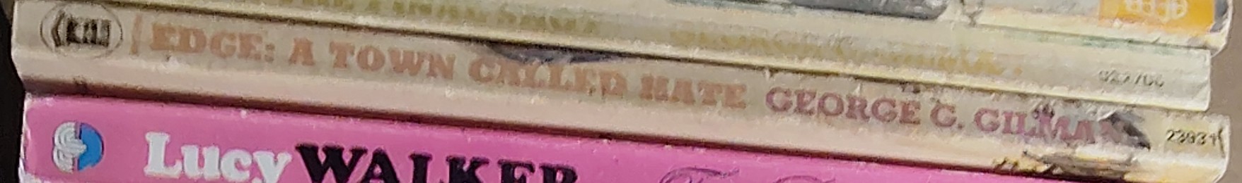 George G. Gilman  EDGE 13: A TOWN CALLED HATE spine of book image