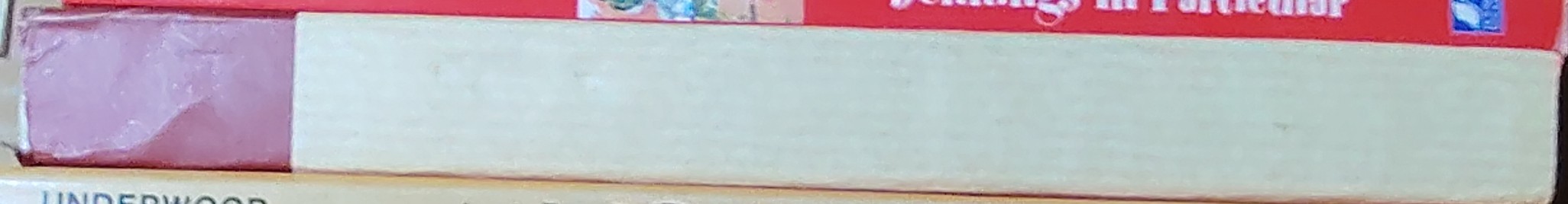 Edgar Rice Burroughs  THE MUCKER spine of book image