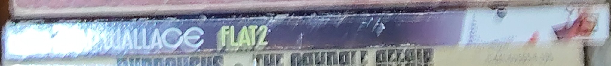 Edgar Wallace  FLAT 2 spine of book image