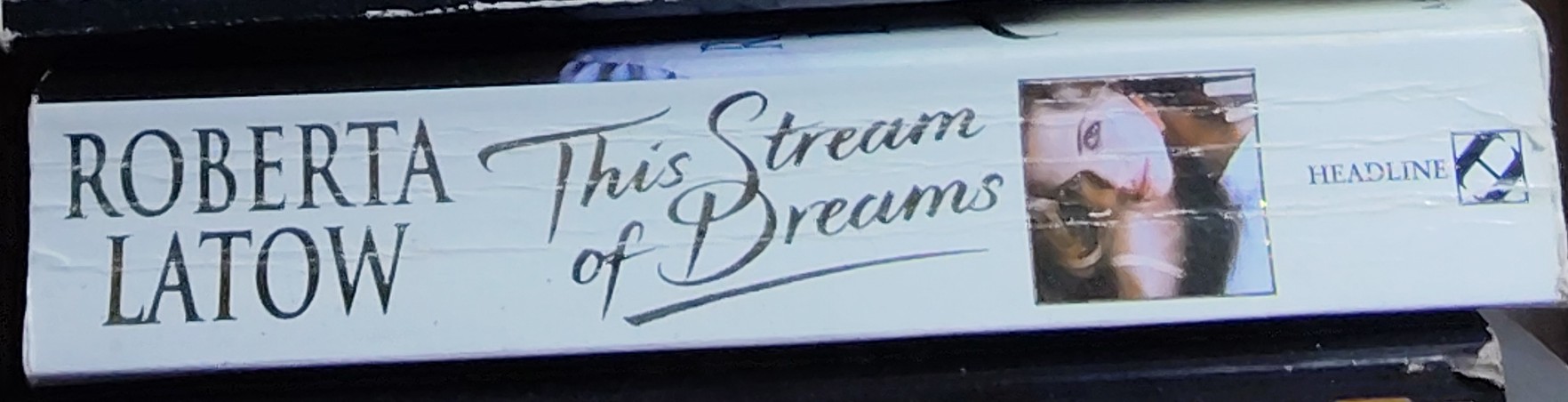 Roberta Latow  THIS STREAM OF DREAMS spine of book image