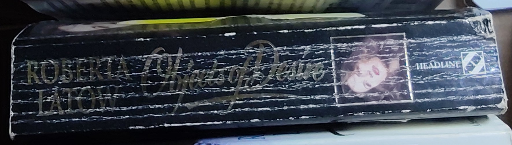 Roberta Latow  OBJECTS OF DESIRE spine of book image