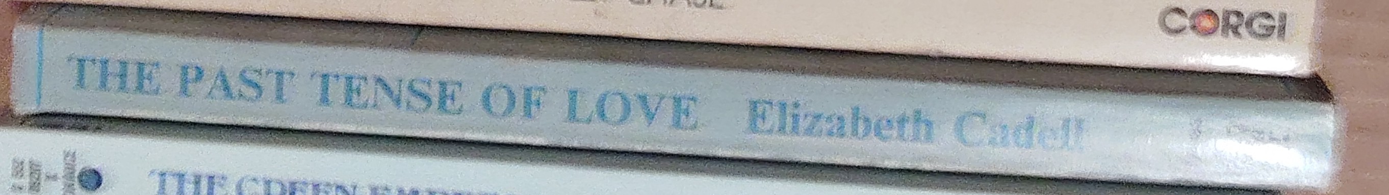 Elizabeth Cadell  THE PAST TENSE OF LOVE spine of book image
