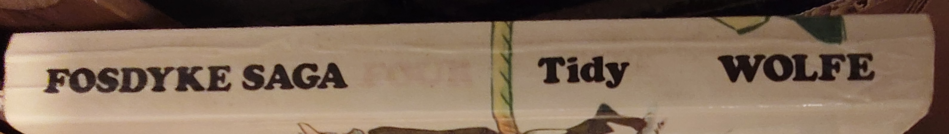 Bill Tidy  FOSDYKE SAGA. Book Four (4) spine of book image