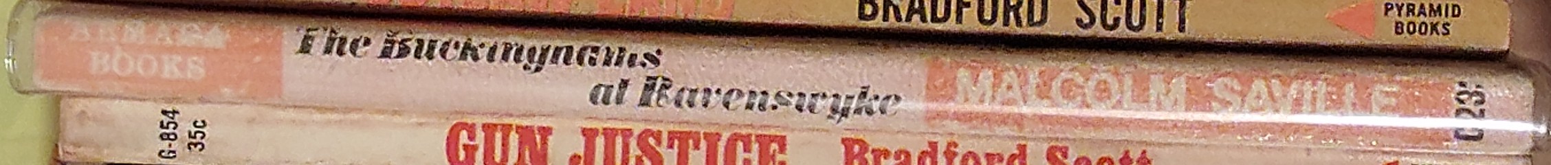 Malcolm Saville  THE BUCKINGHAMS AT RAVENSWYKE spine of book image