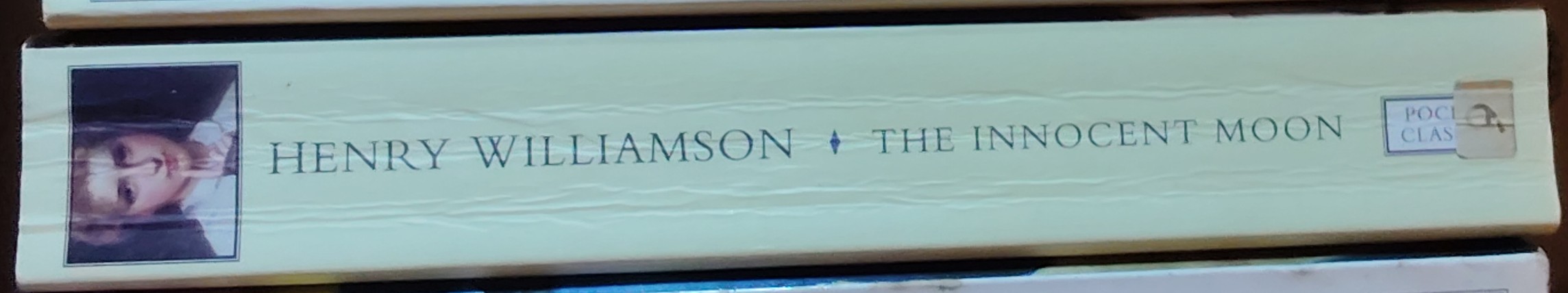 Henry Williamson  THE INNOCENT MOON spine of book image