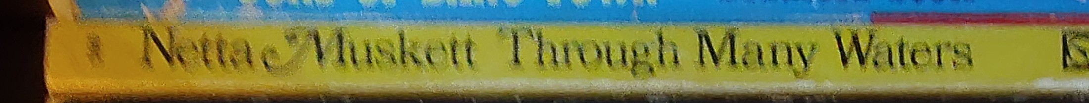 Netta Muskett  THROUGH MANY WATERS spine of book image