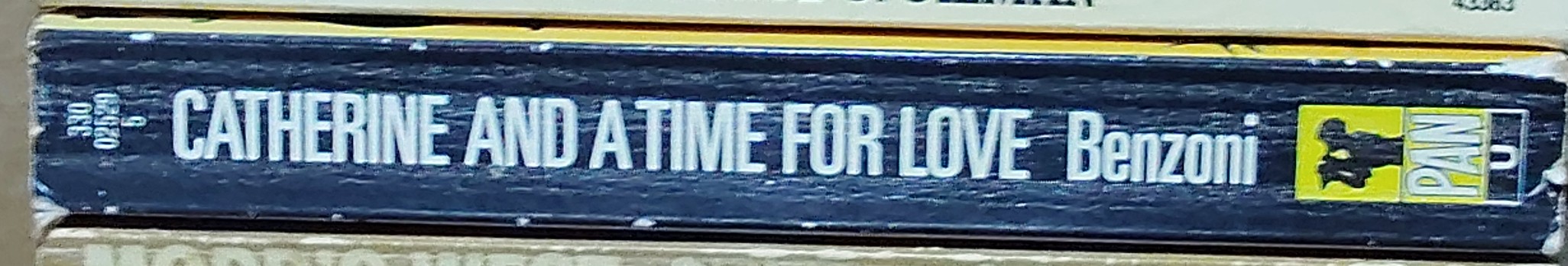 Juliette Benzoni  CATHERINE AND A TIME FOR LOVE spine of book image