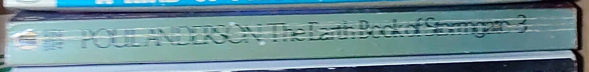 Poul Anderson  THE EARTH BOOK OF STORMGATE - 3 spine of book image