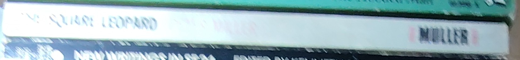 Peter Miller  THE SQUARE LEOPARD (HTV) spine of book image