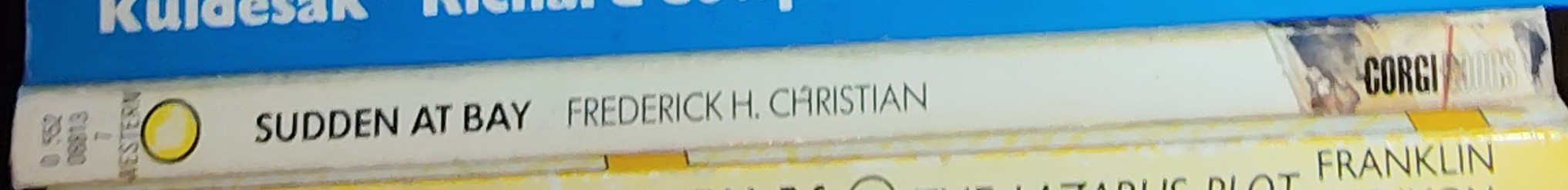 Frederick H. Christian  SUDDEN AT BAY spine of book image