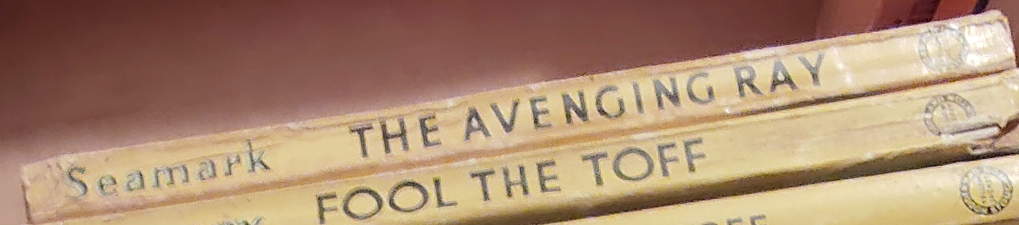 Seamark   THE AVENGING RAY spine of book image
