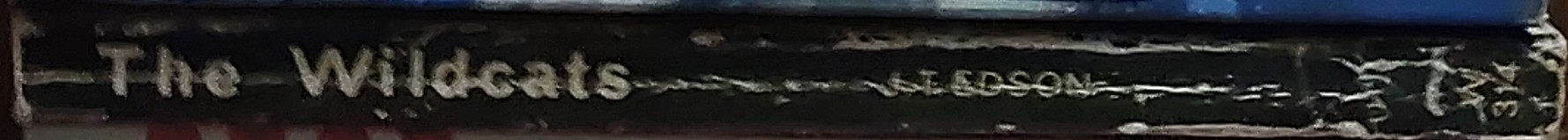 Erle Stanley Gardner  THE CASE OF THE GLAMOROUS GHOST spine of book image