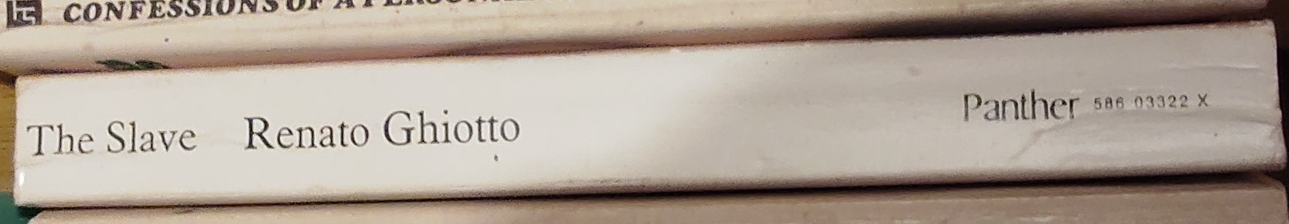 Renato Ghiotto  THE SLAVE spine of book image