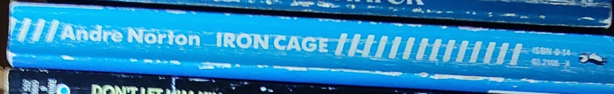 Andre Norton  IRON CAGE (Juvenile) spine of book image