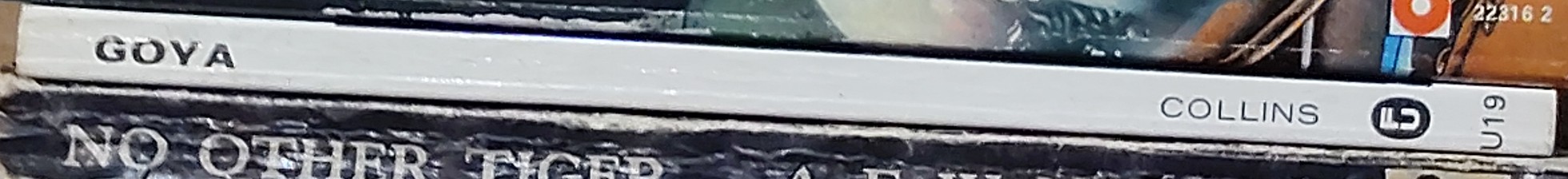 GOYA  spine of book image