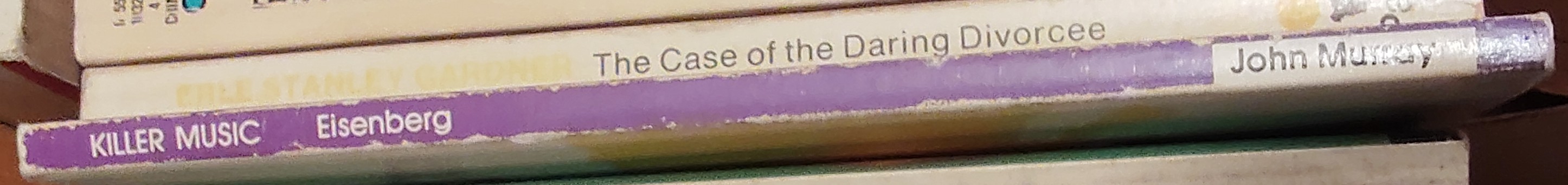 Lisa Eisenberg  KILLER MUSIC [Fiction] spine of book image