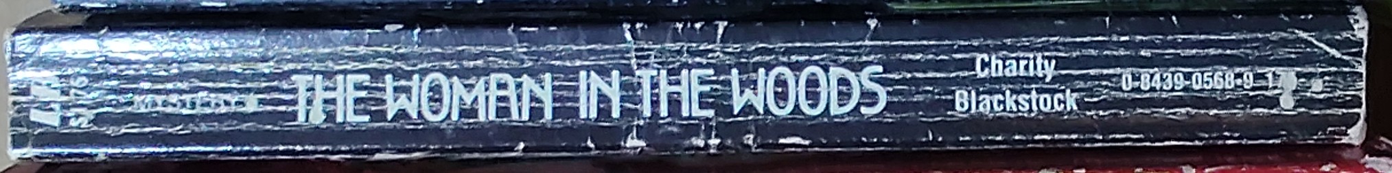 Charity Blackstock  THE WOMAN IN THE WOODS spine of book image