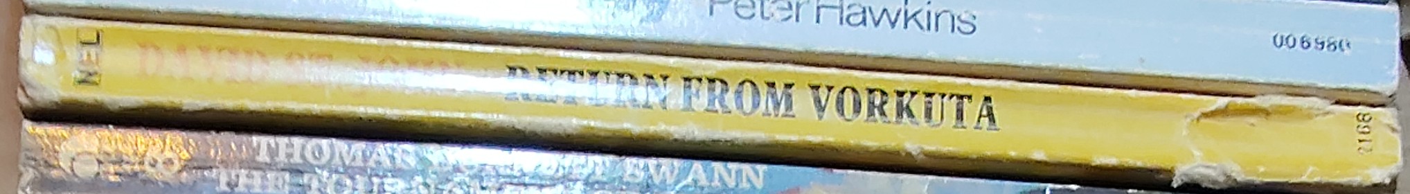 David St John  RETURN FROM VORKUTA spine of book image