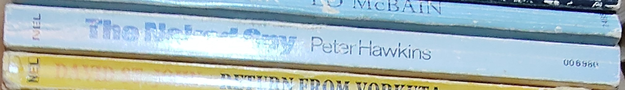 Peter Hawkins  THE NAKED SPY spine of book image