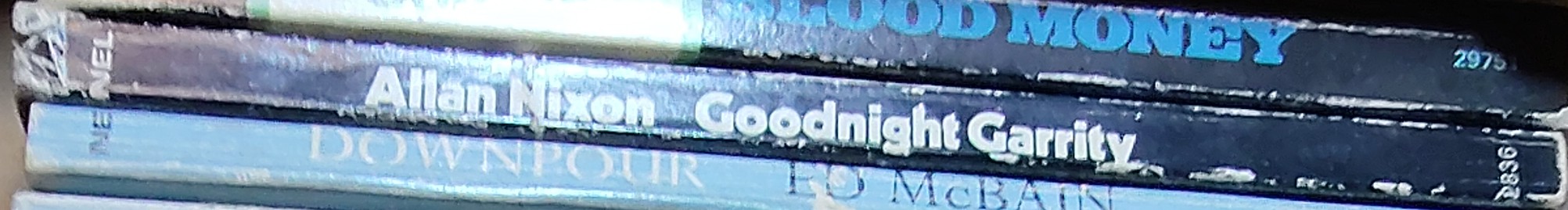 Allan Nixon  GOODNIGHT GARRITY spine of book image