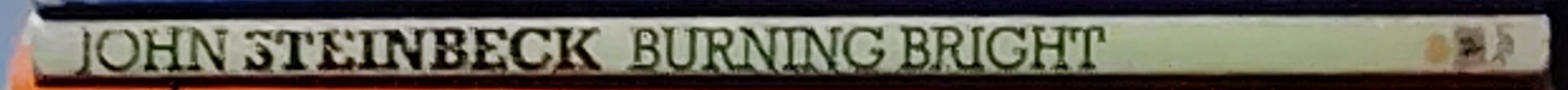 John Steinbeck  BURNING BRIGHT spine of book image